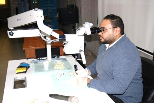 علاج الجذور