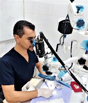 علاج الجذور
